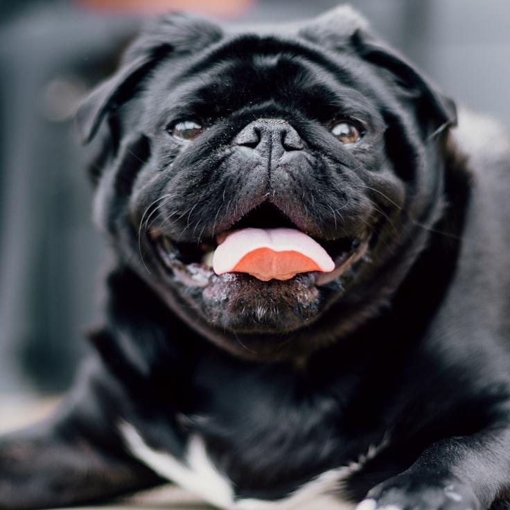 Landscape day trip near Lisbon, Portugal