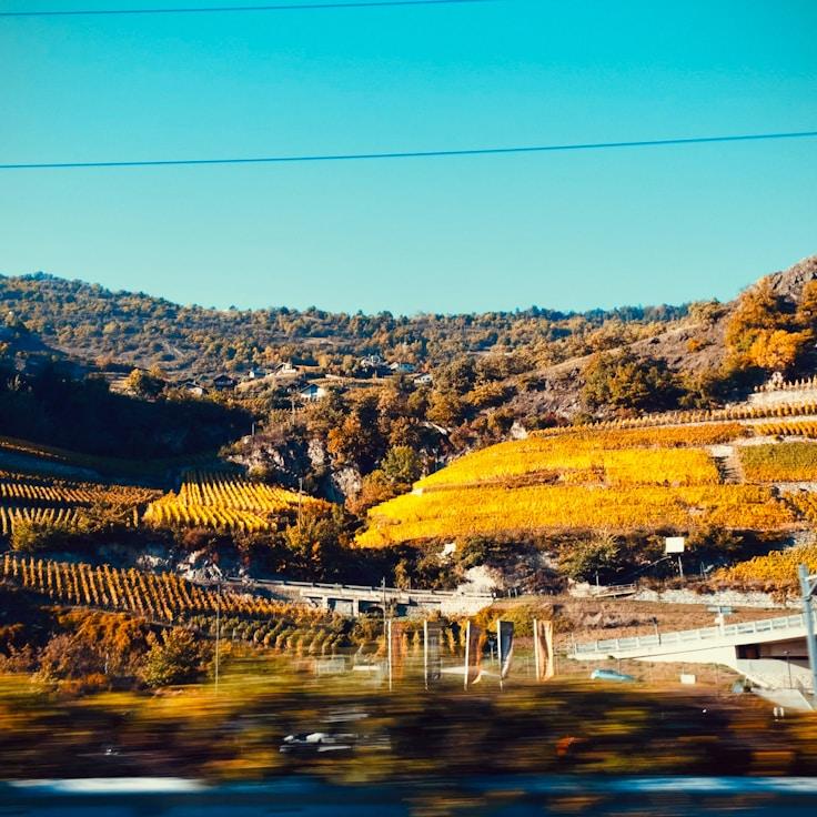 Family-friendly dining with comfortable seating